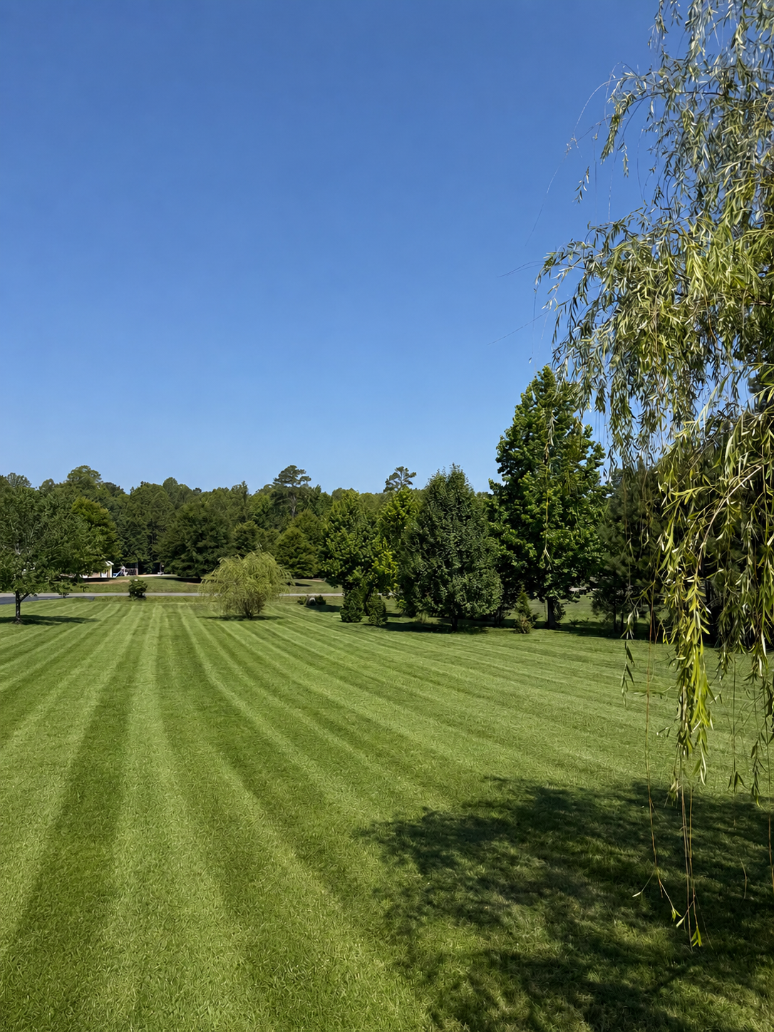 Weekly Mowing Program